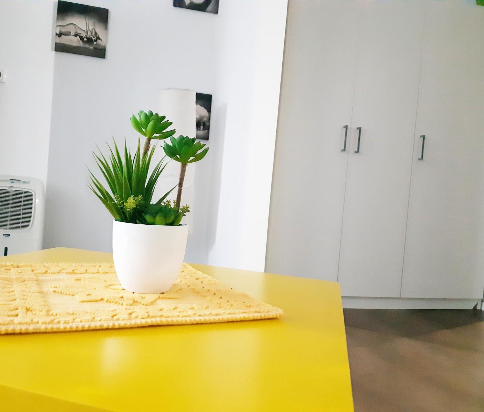Buna Ziua Apartment Tonitza Nic. Cluj-Napoca Ngoại thất bức ảnh